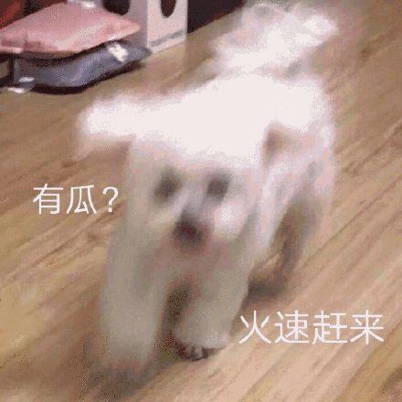 吃瓜娱乐圈懒猫儿,揭秘明星幕后故事